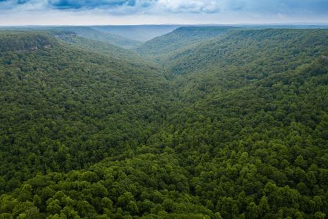 916 N Rim Drive Coalmont TN 37313