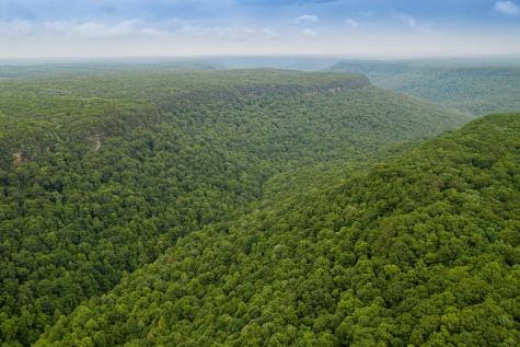 916 N Rim Drive Coalmont TN 37313