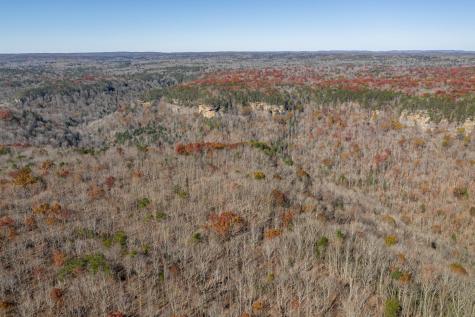 916 N Rim Drive Coalmont TN 37313