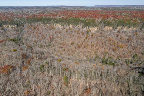 916 N Rim Drive Coalmont TN 37313