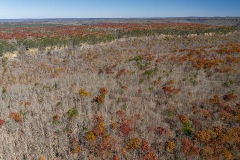 916 N Rim Drive Coalmont TN 37313