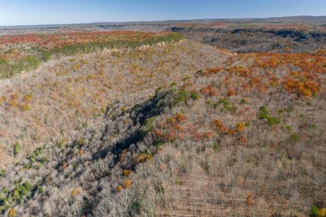 916 N Rim Drive Coalmont TN 37313