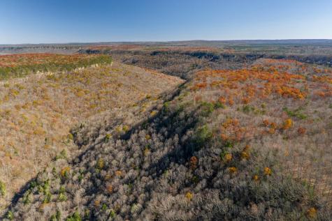 916 N Rim Drive Coalmont TN 37313