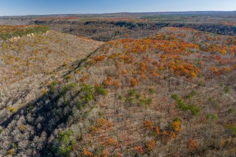 916 N Rim Drive Coalmont TN 37313