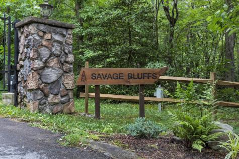 916 N Rim Drive Coalmont TN 37313