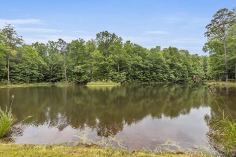 916 N Rim Drive Coalmont TN 37313