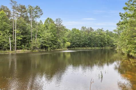 916 N Rim Drive Coalmont TN 37313