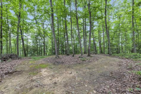 916 N Rim Drive Coalmont TN 37313