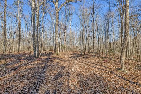 916 N Rim Drive Coalmont TN 37313