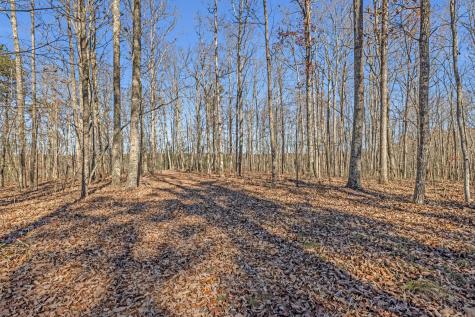 916 N Rim Drive Coalmont TN 37313