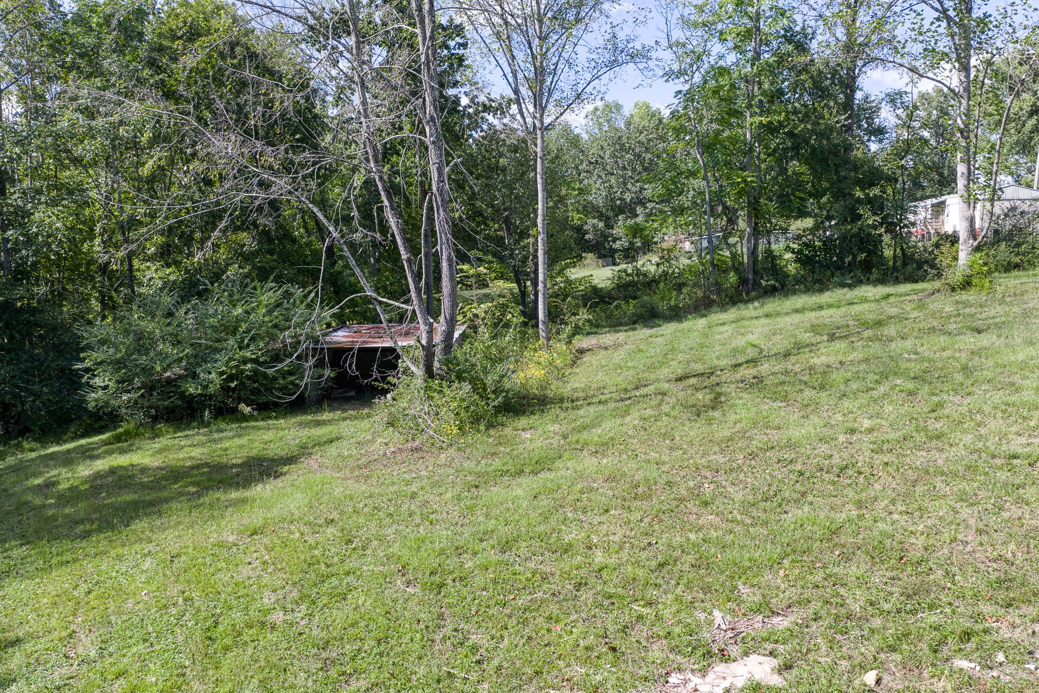 7331 Ashburn Road Baxter TN 38544