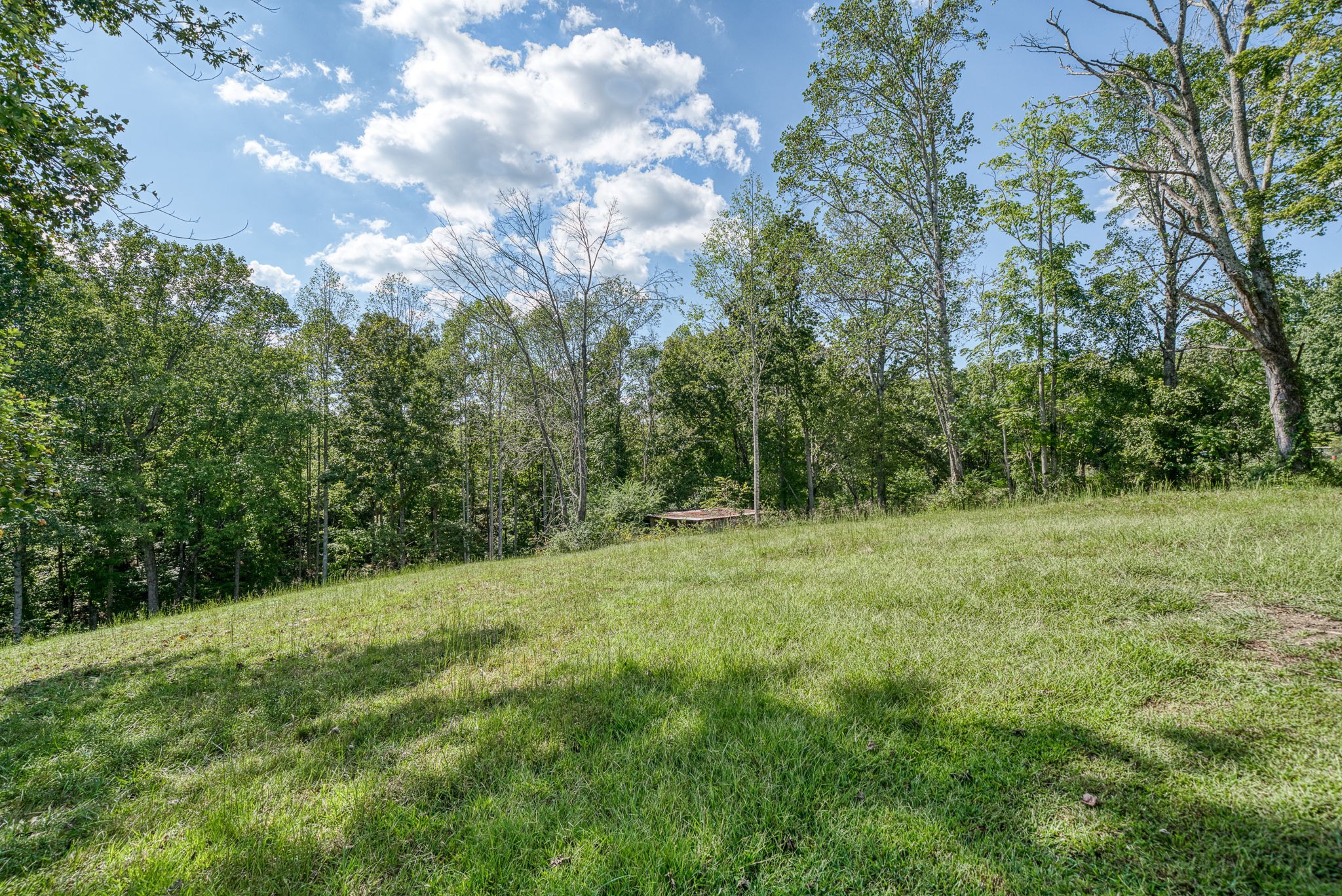 7331 Ashburn Road Baxter TN 38544