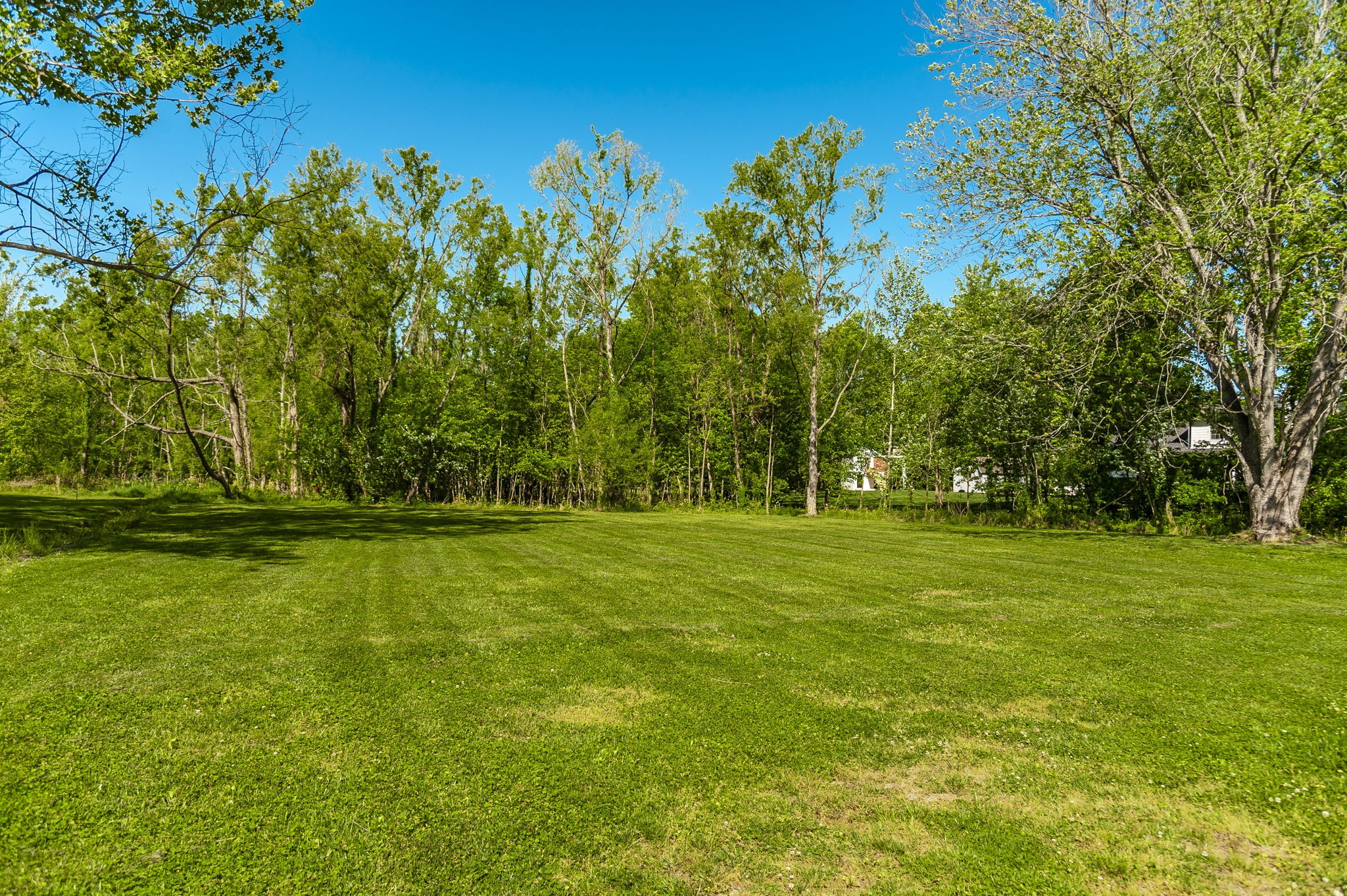 1305 Twin Springs Drive Brentwood TN 37027
