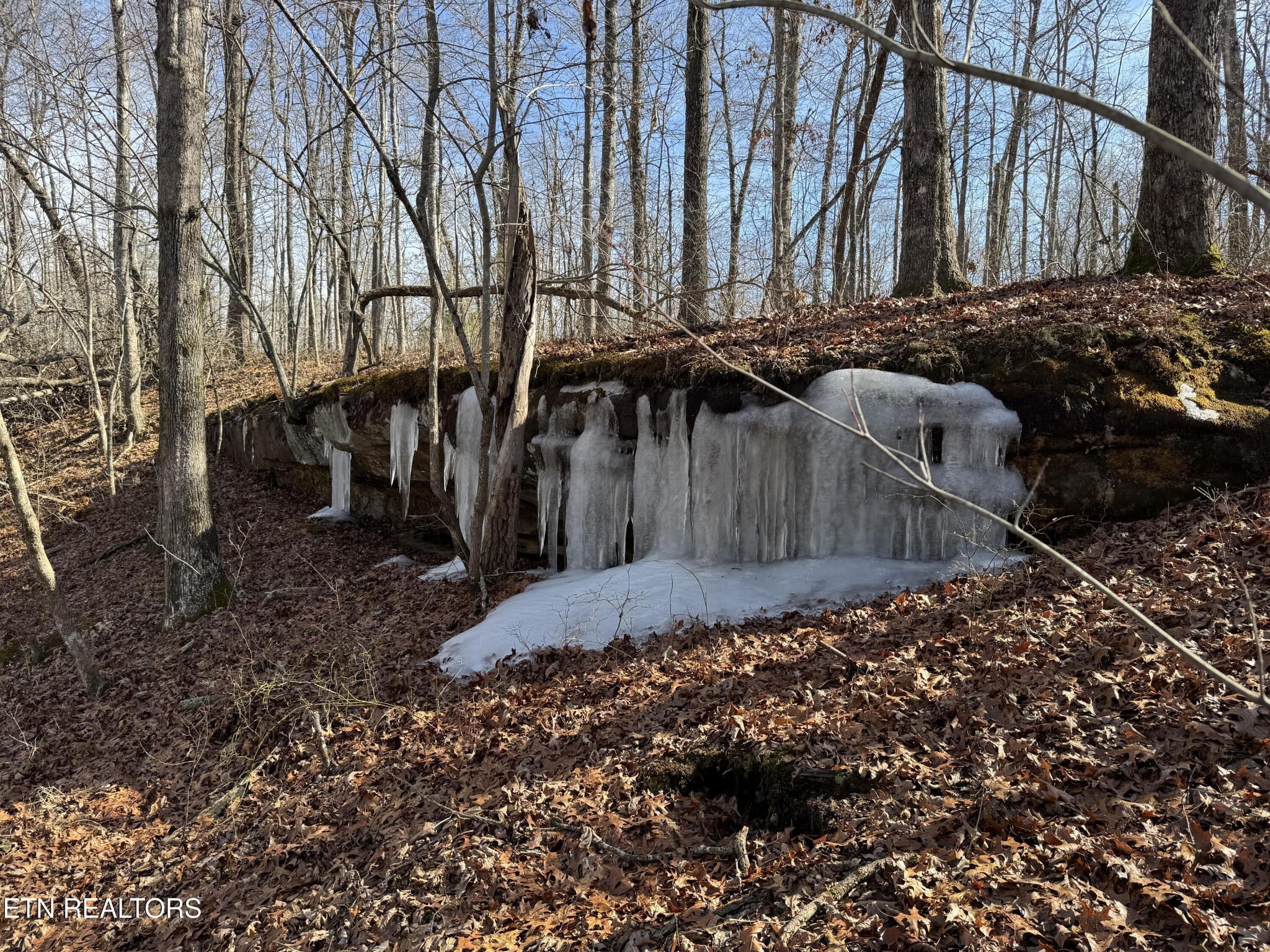 37 Crystal Point Monterey TN 38574