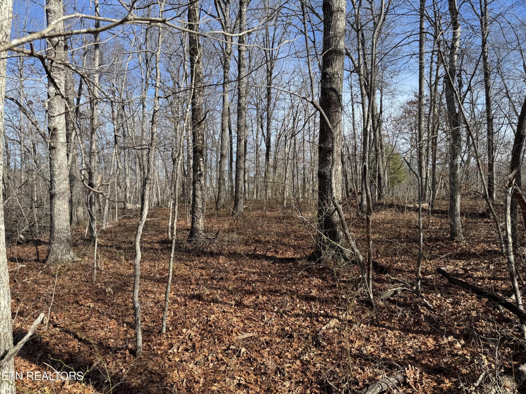37 Crystal Point Monterey TN 38574
