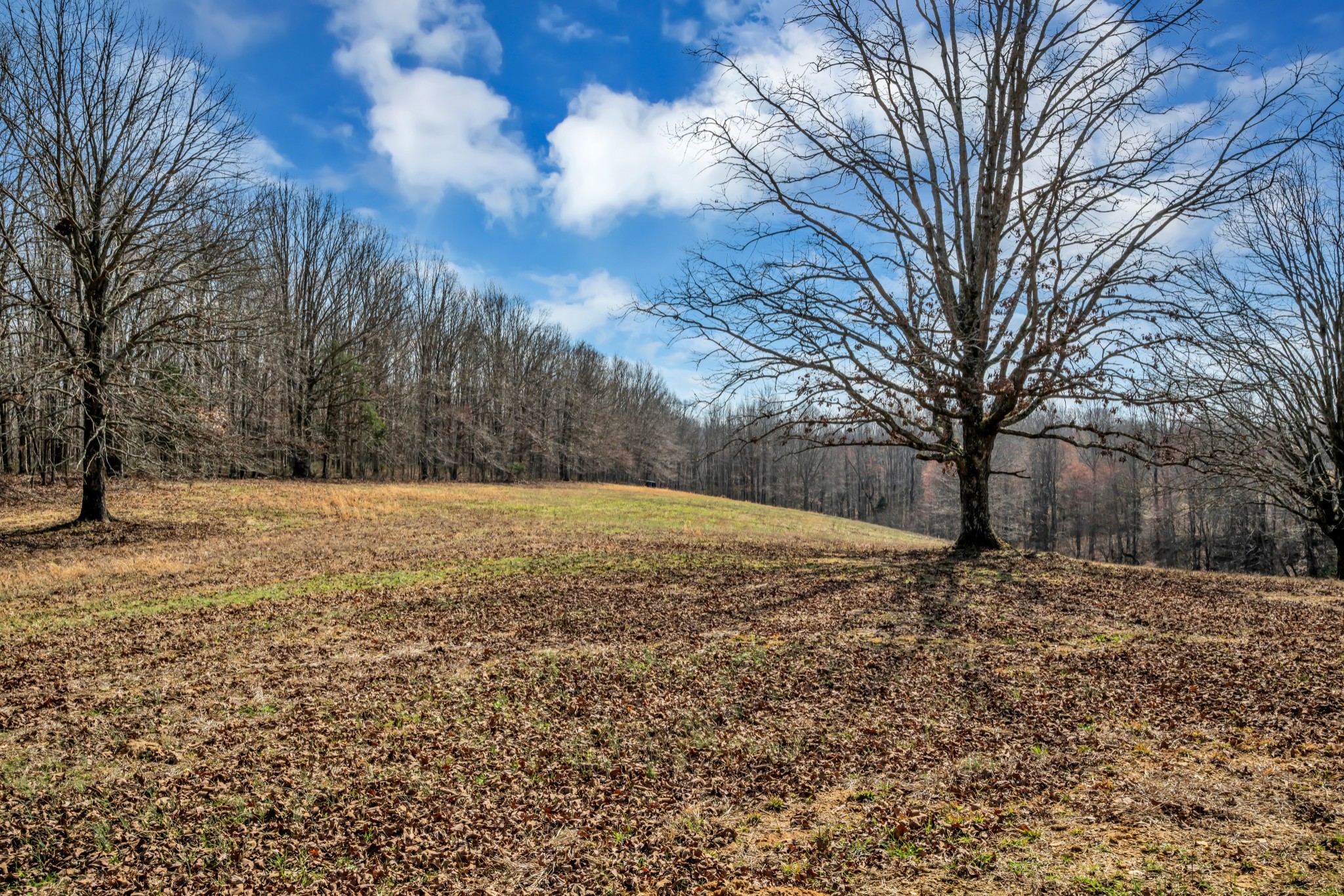 718 Darrell Rye Road Erin TN 37061
