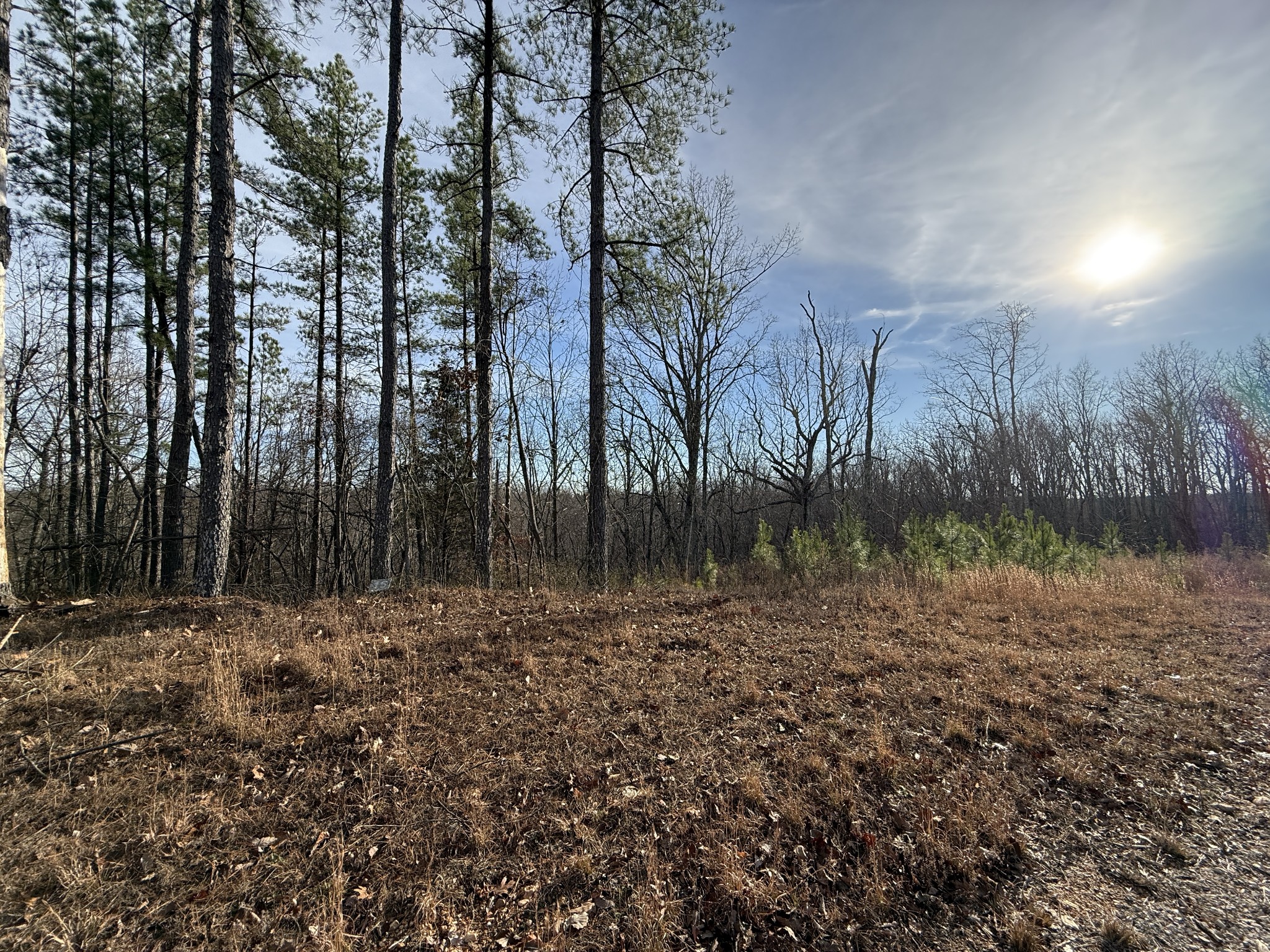 0 Richland Harbor Road Waverly TN 37185