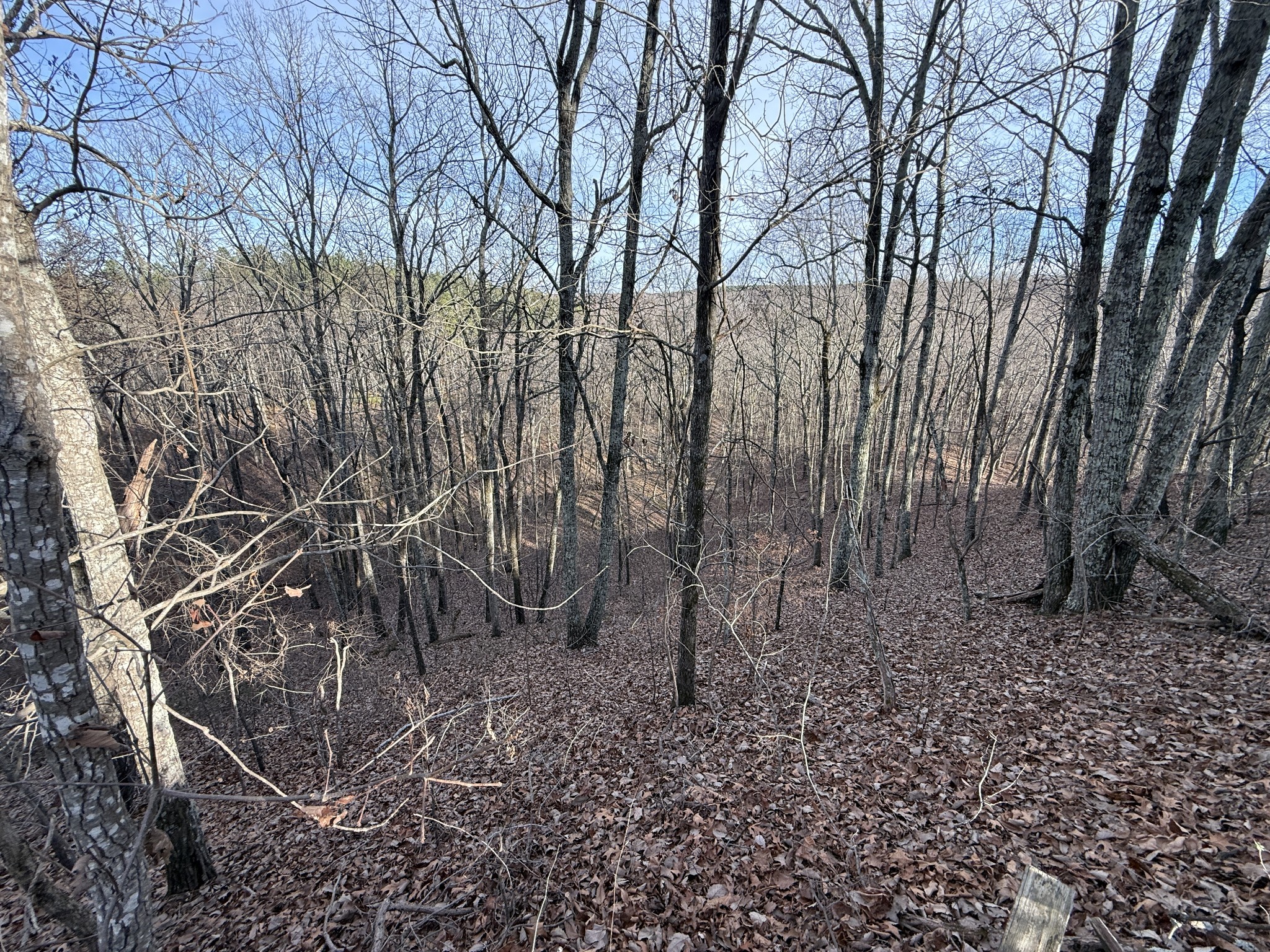 0 Richland Harbor Road Waverly TN 37185