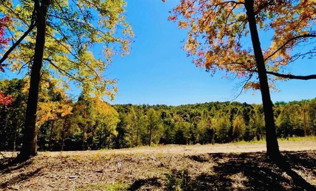 0 State Park Road Burkesville KY 42717
