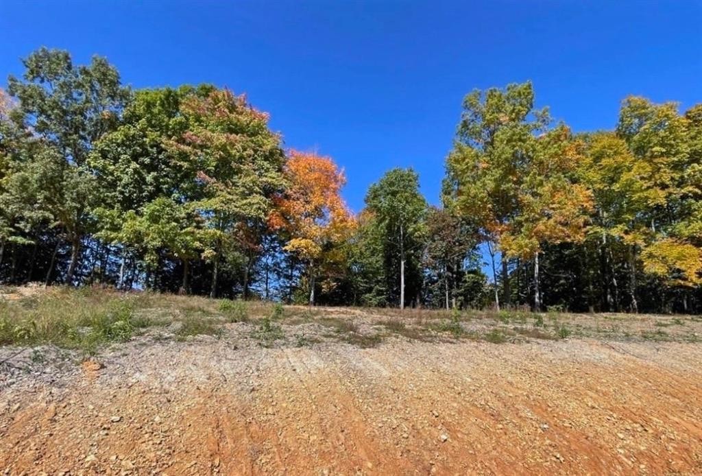 0 State Park Road Burkesville KY 42717