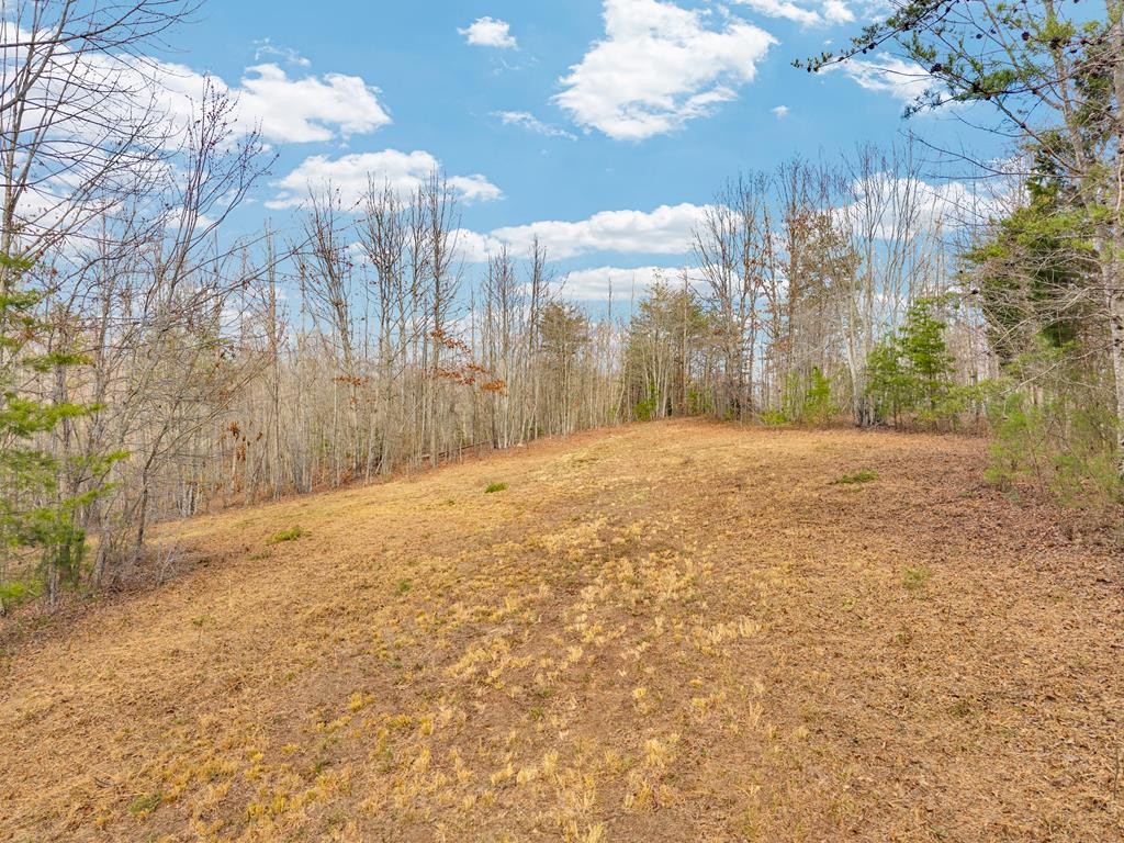 0 Soak Creek Lane Grandview TN 37337