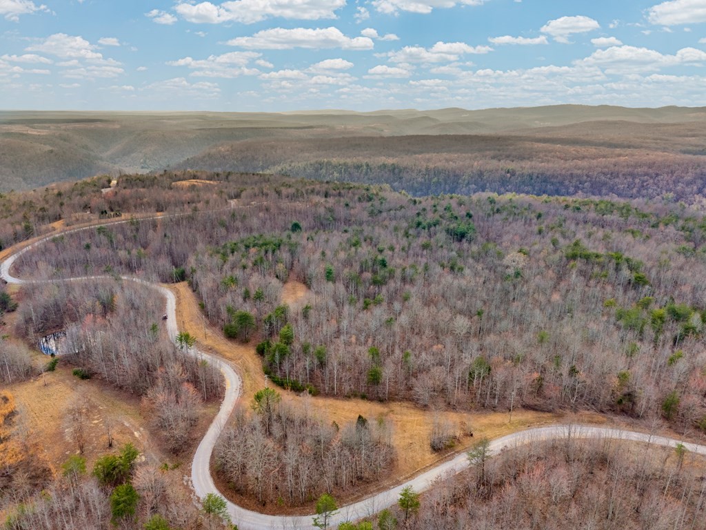 0 Soak Creek Lane Grandview TN 37337