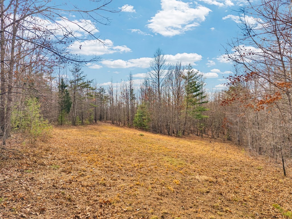 0 Soak Creek Lane Grandview TN 37337