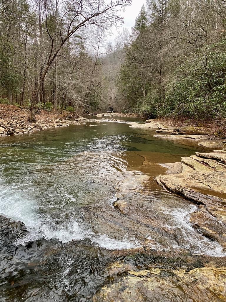 0 Soak Creek Lane Grandview TN 37337