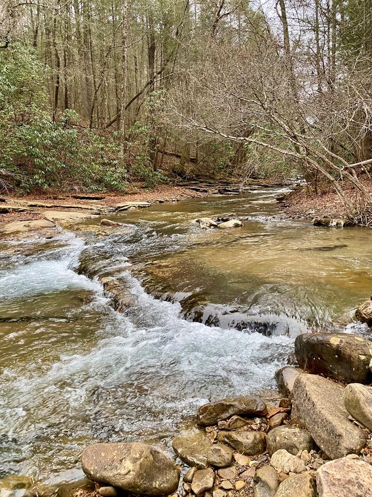0 Soak Creek Lane Grandview TN 37337
