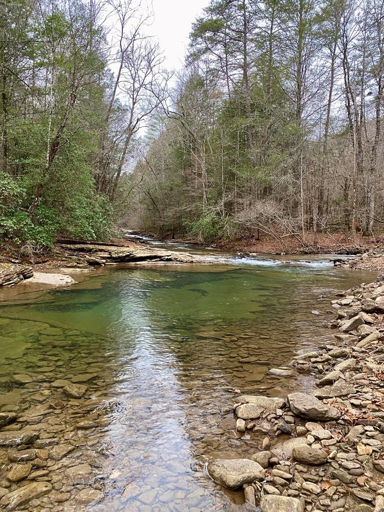0 Soak Creek Lane Grandview TN 37337