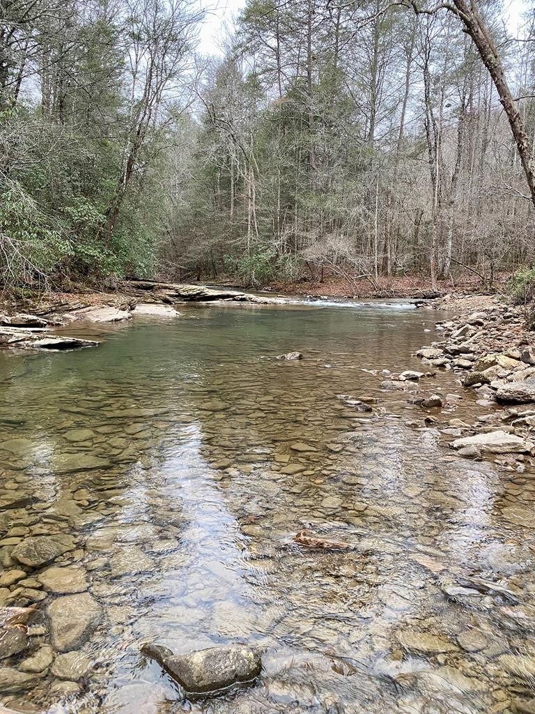 0 Soak Creek Lane Grandview TN 37337