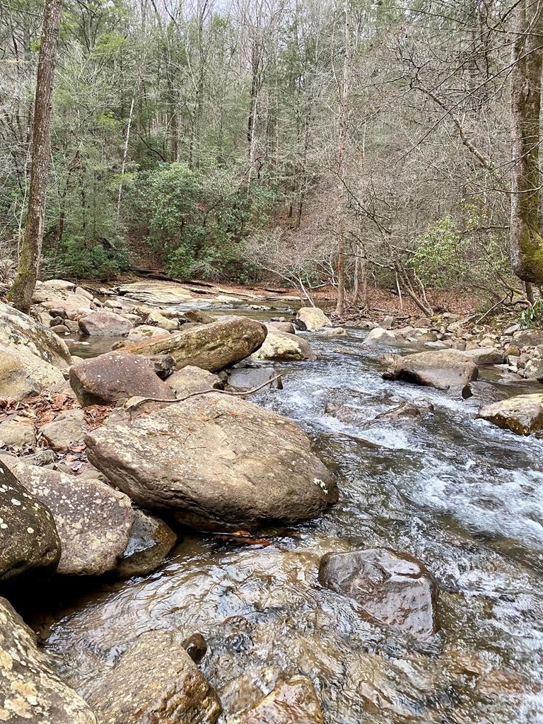 0 Soak Creek Lane Grandview TN 37337