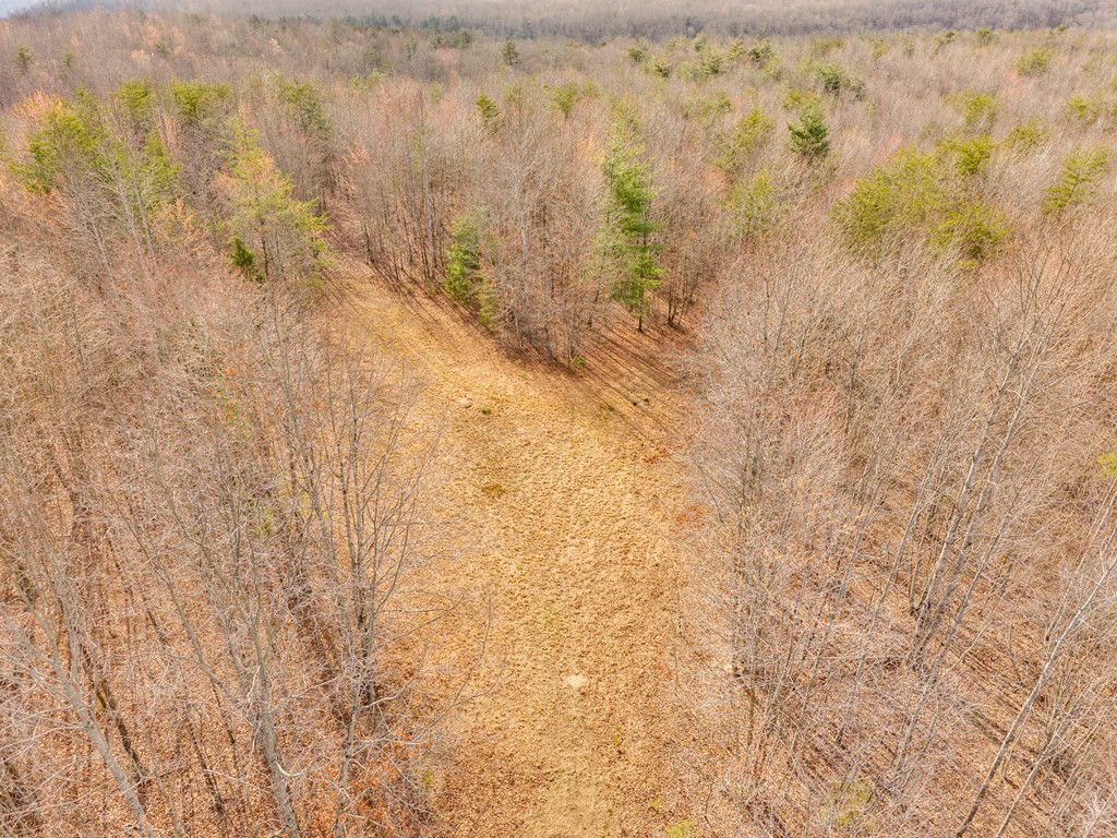 0 Soak Creek Lane Grandview TN 37337