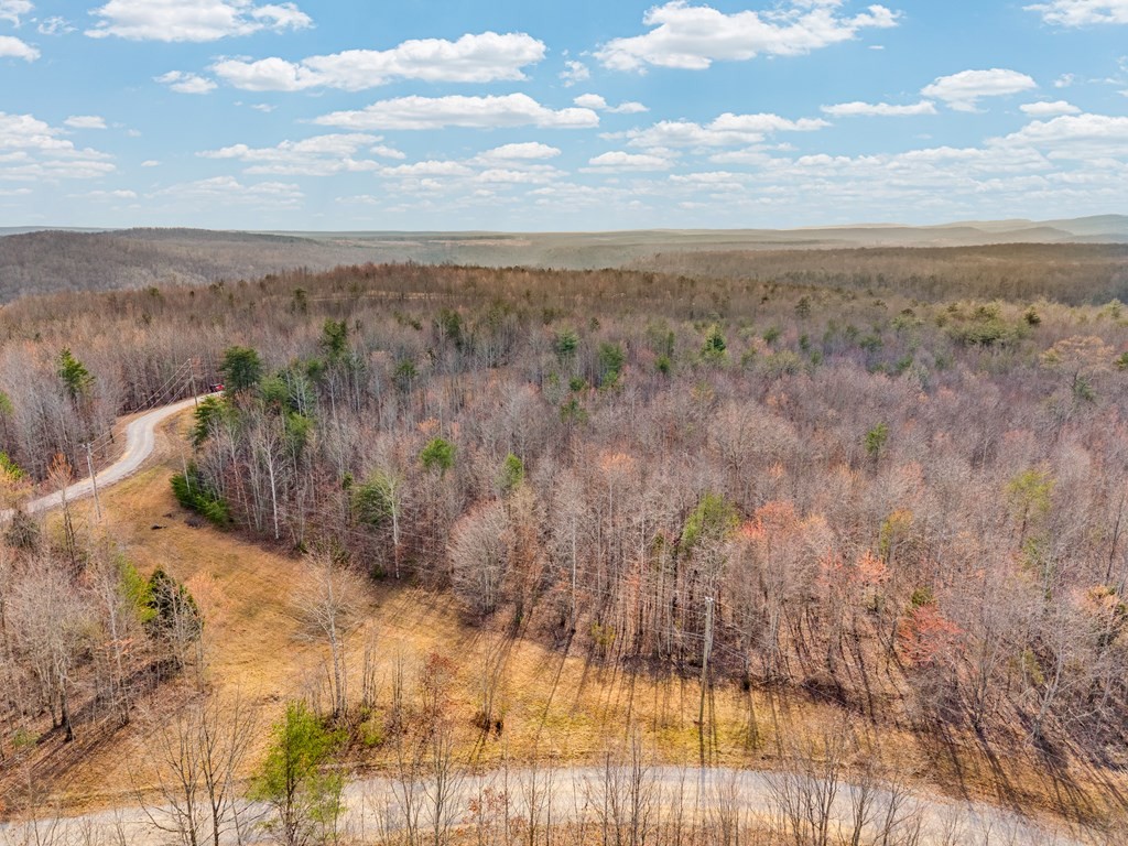 0 Soak Creek Lane Grandview TN 37337