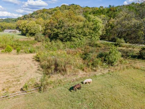 161 Oliver Branch Road Pulaski TN 38478