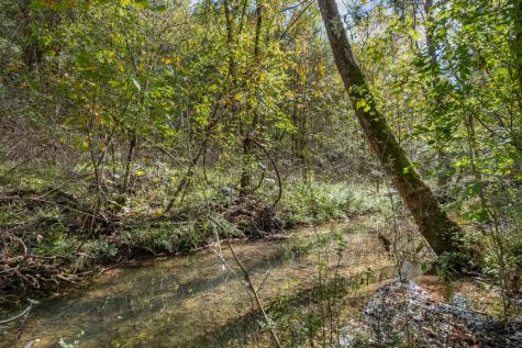 161 Oliver Branch Road Pulaski TN 38478