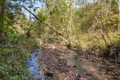 161 Oliver Branch Road Pulaski TN 38478