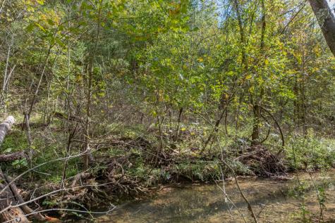 161 Oliver Branch Road Pulaski TN 38478