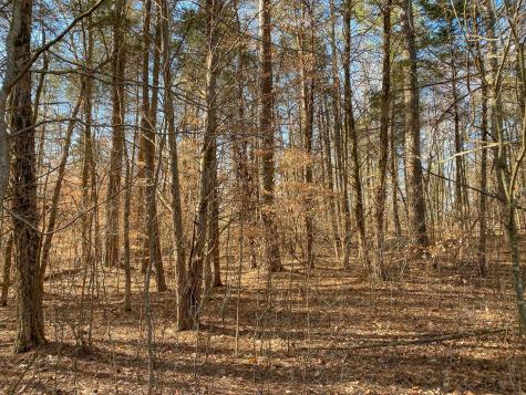0 Rustic Valley Drive Waverly TN 37185