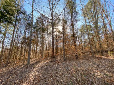 0 Rustic Valley Drive Waverly TN 37185