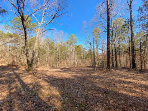 0 Rustic Valley Drive Waverly TN 37185
