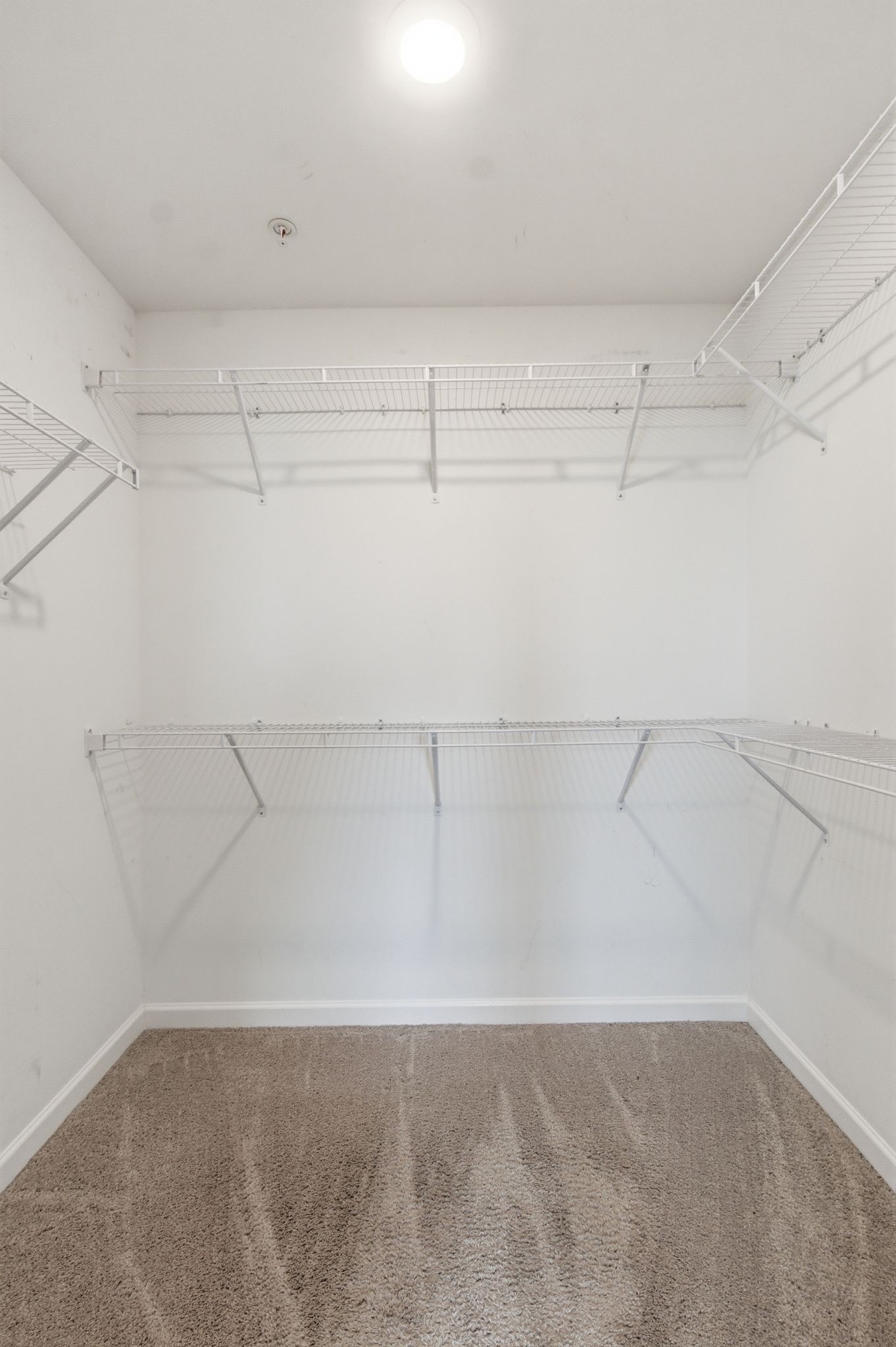 204 Kinsale Drive Spring Hill TN 37174