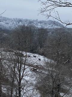 4419 Scott Hollow Road Culleoka TN 38451