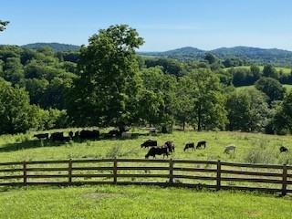 4419 Scott Hollow Road Culleoka TN 38451