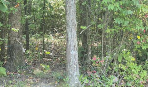 0 Spring Street Monteagle TN 37356