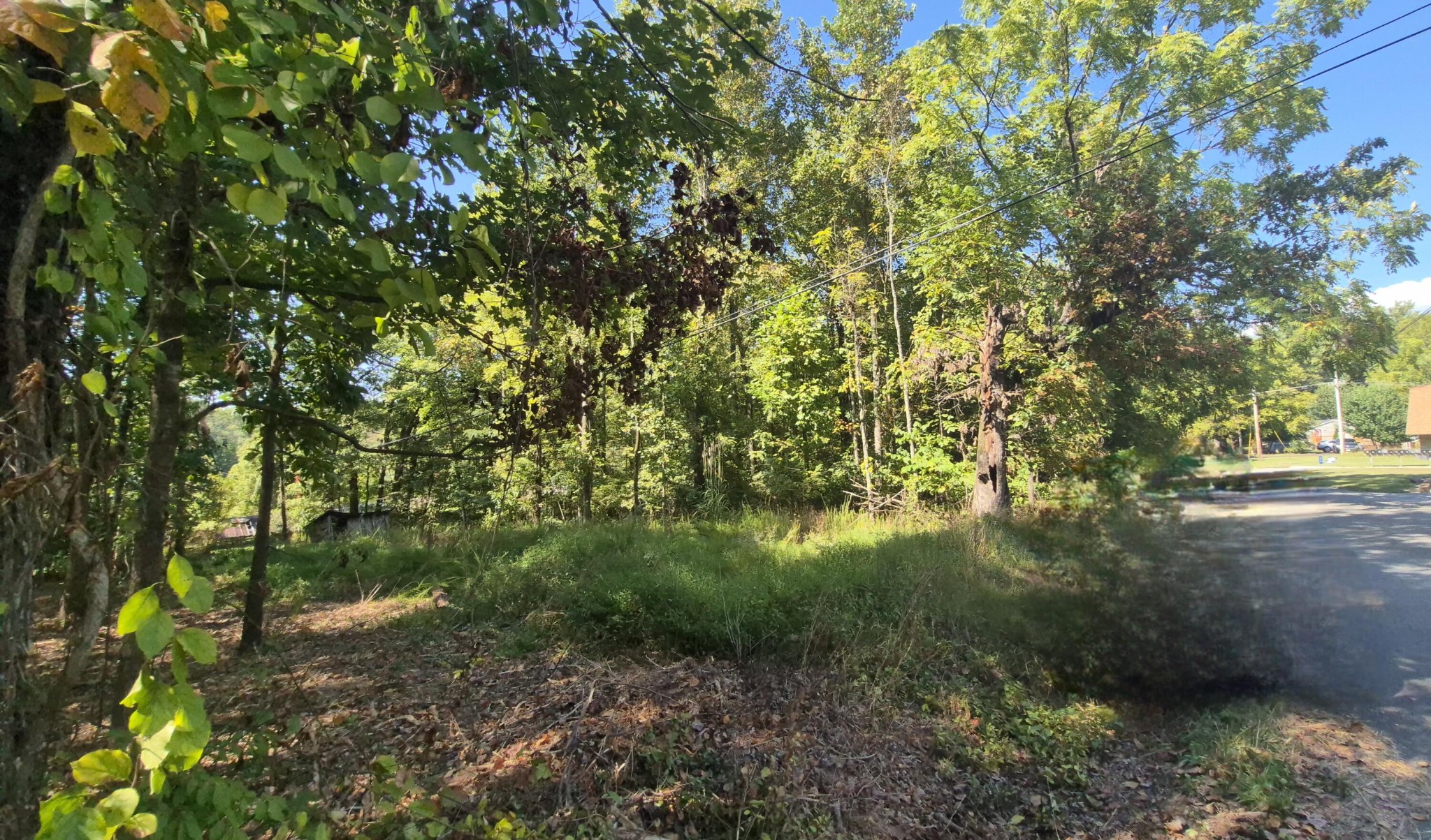 0 Spring Street Monteagle TN 37356