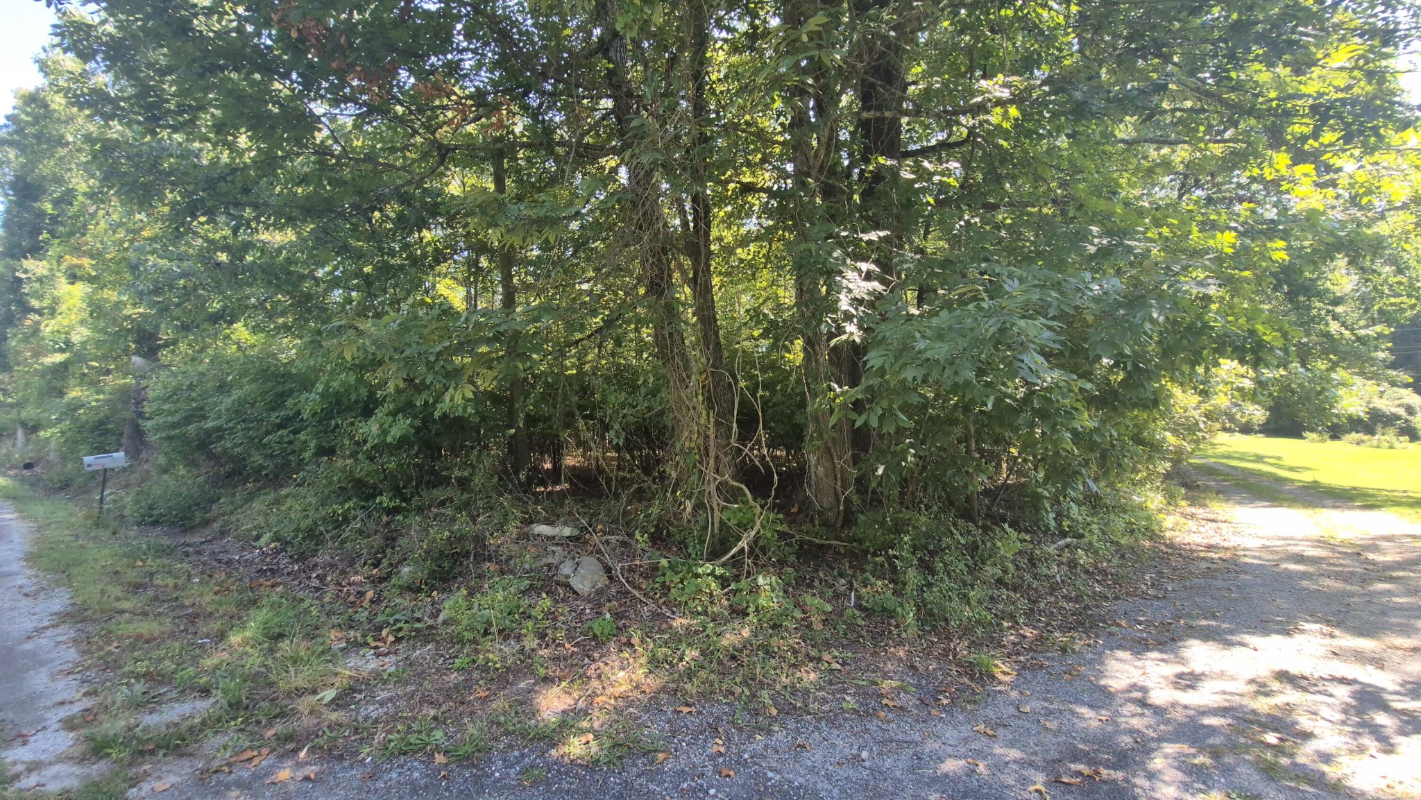 0 Spring Street Monteagle TN 37356