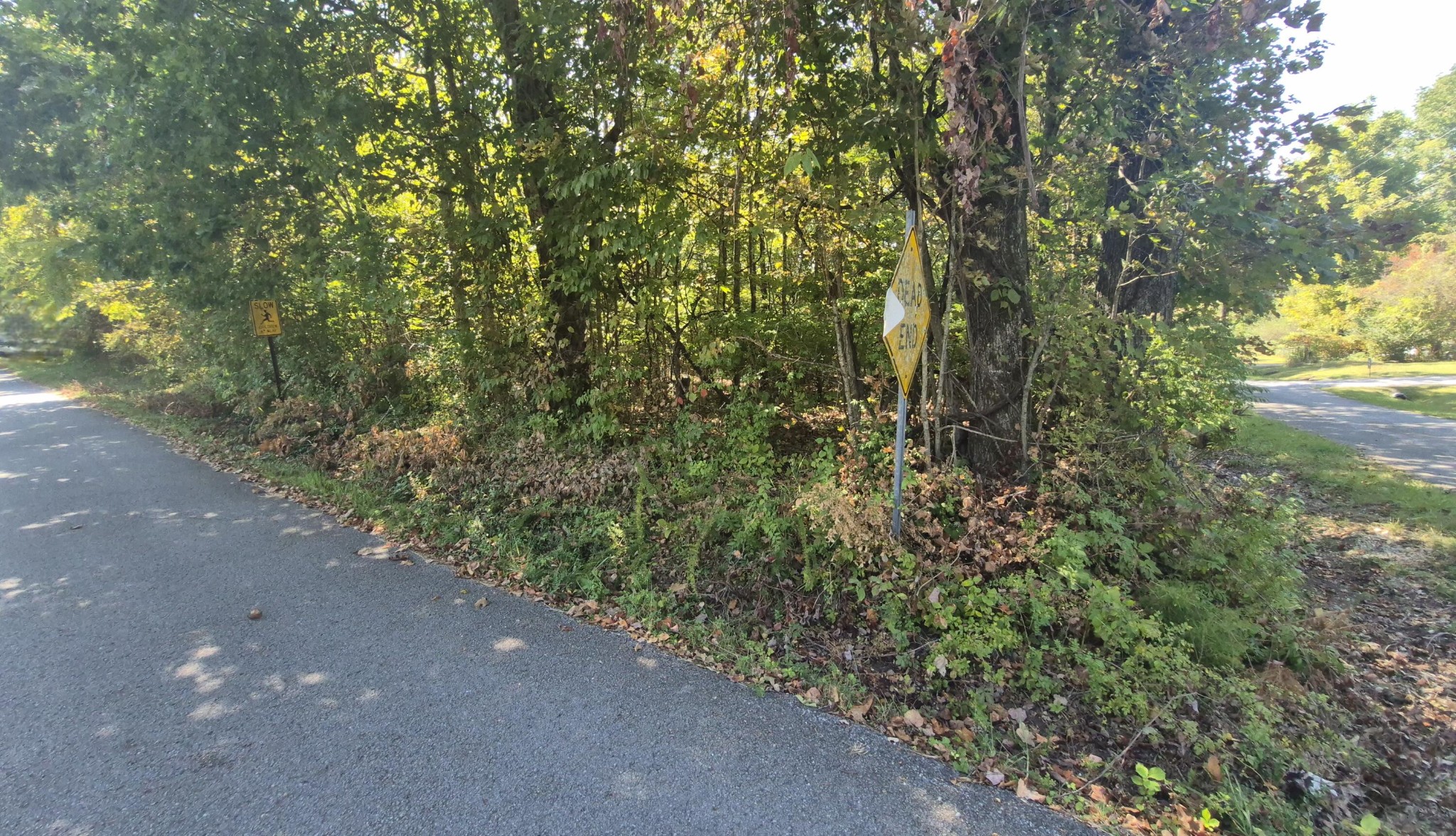 0 Spring Street Monteagle TN 37356