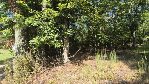 0 Spring Street Monteagle TN 37356
