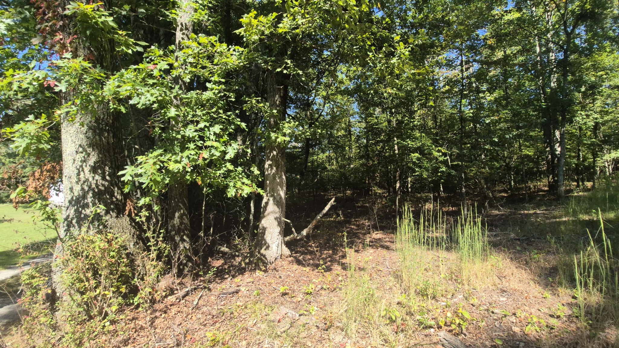 0 Spring Street Monteagle TN 37356